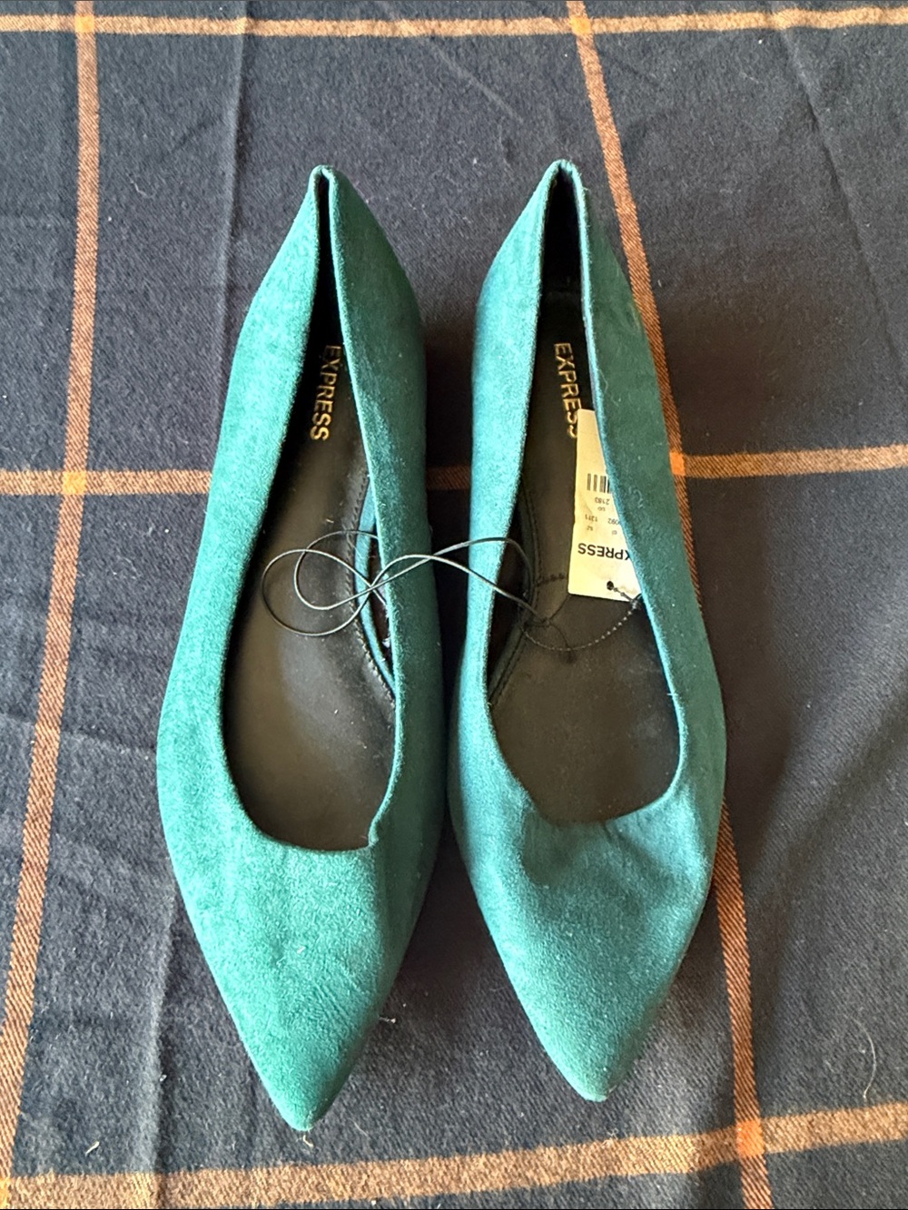 Express Women's Pointed Flats in Teal Green